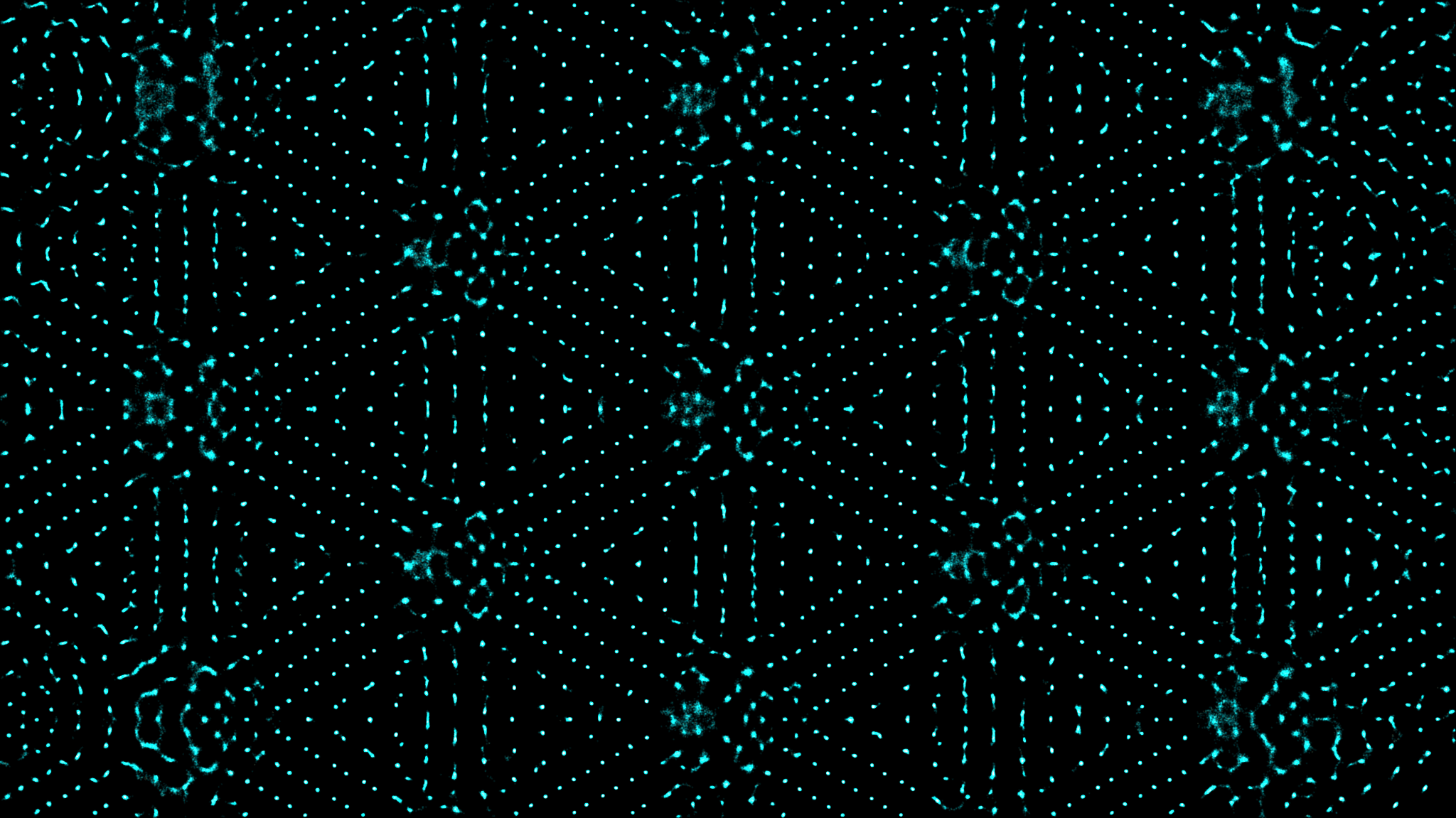 Networks vs. Hierarchies: Organizational Structures in the Digital Age